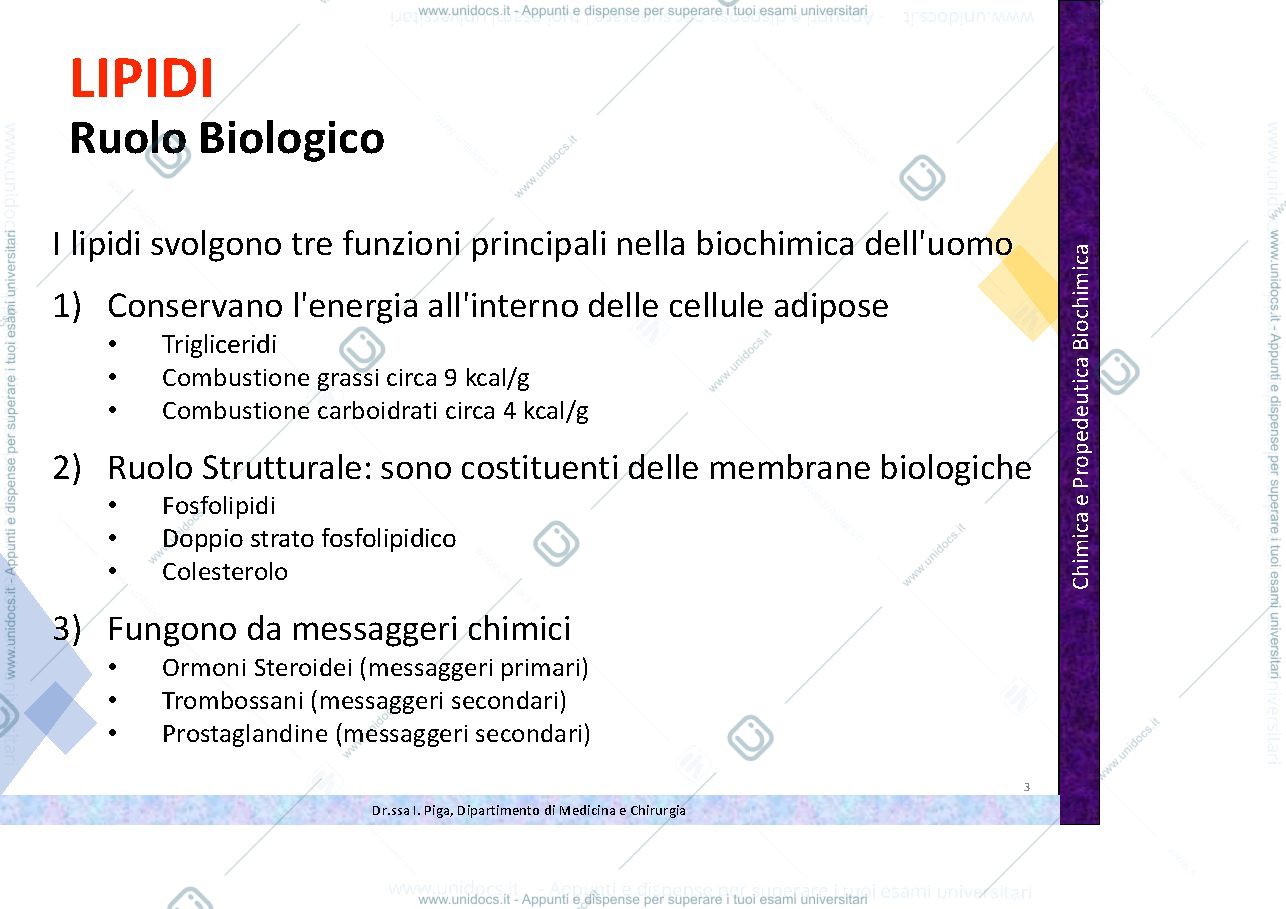 Anteprima pagina 3 — Lipidi 