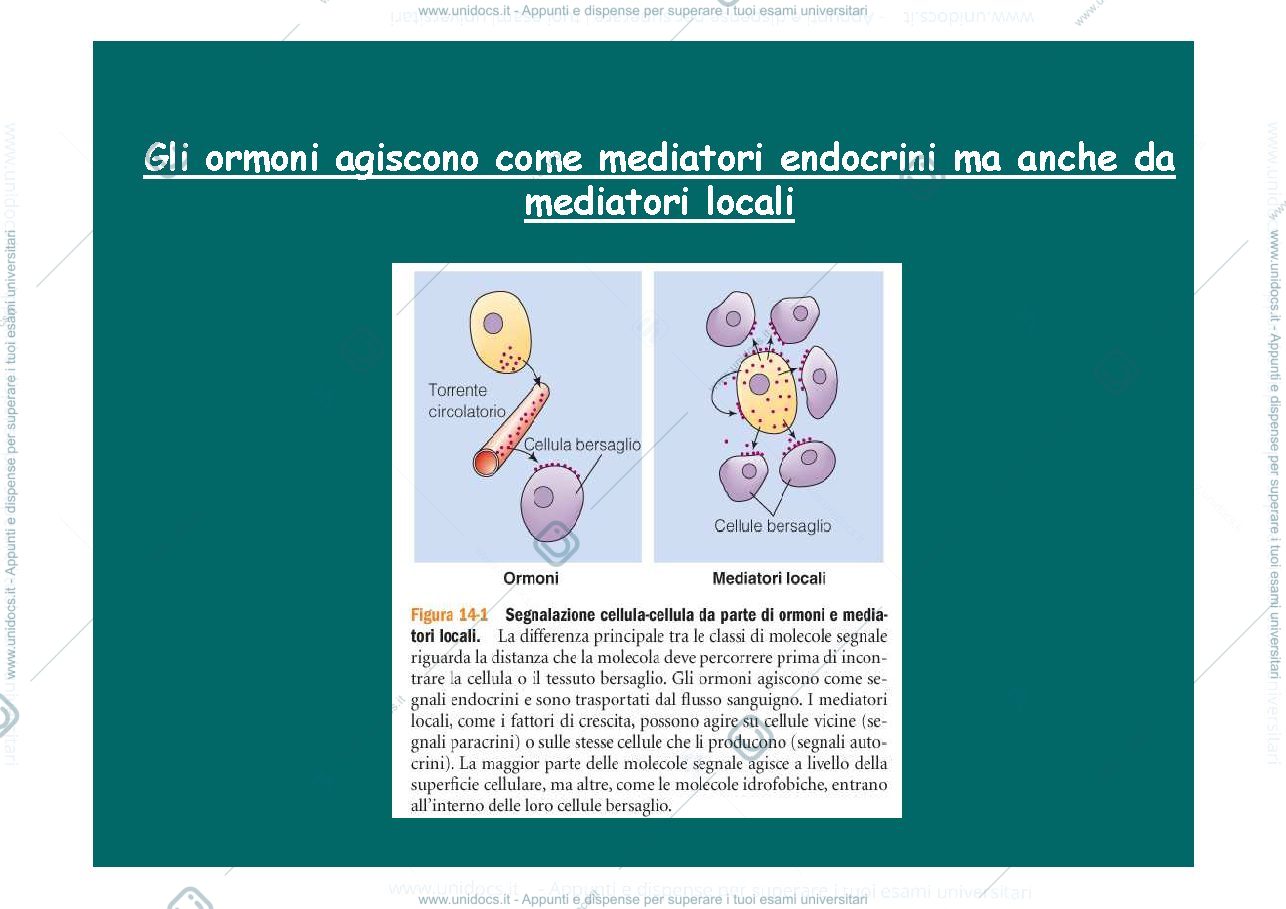 Anteprima pagina 3 — comunicazione cellulare e trasduzione del segnale