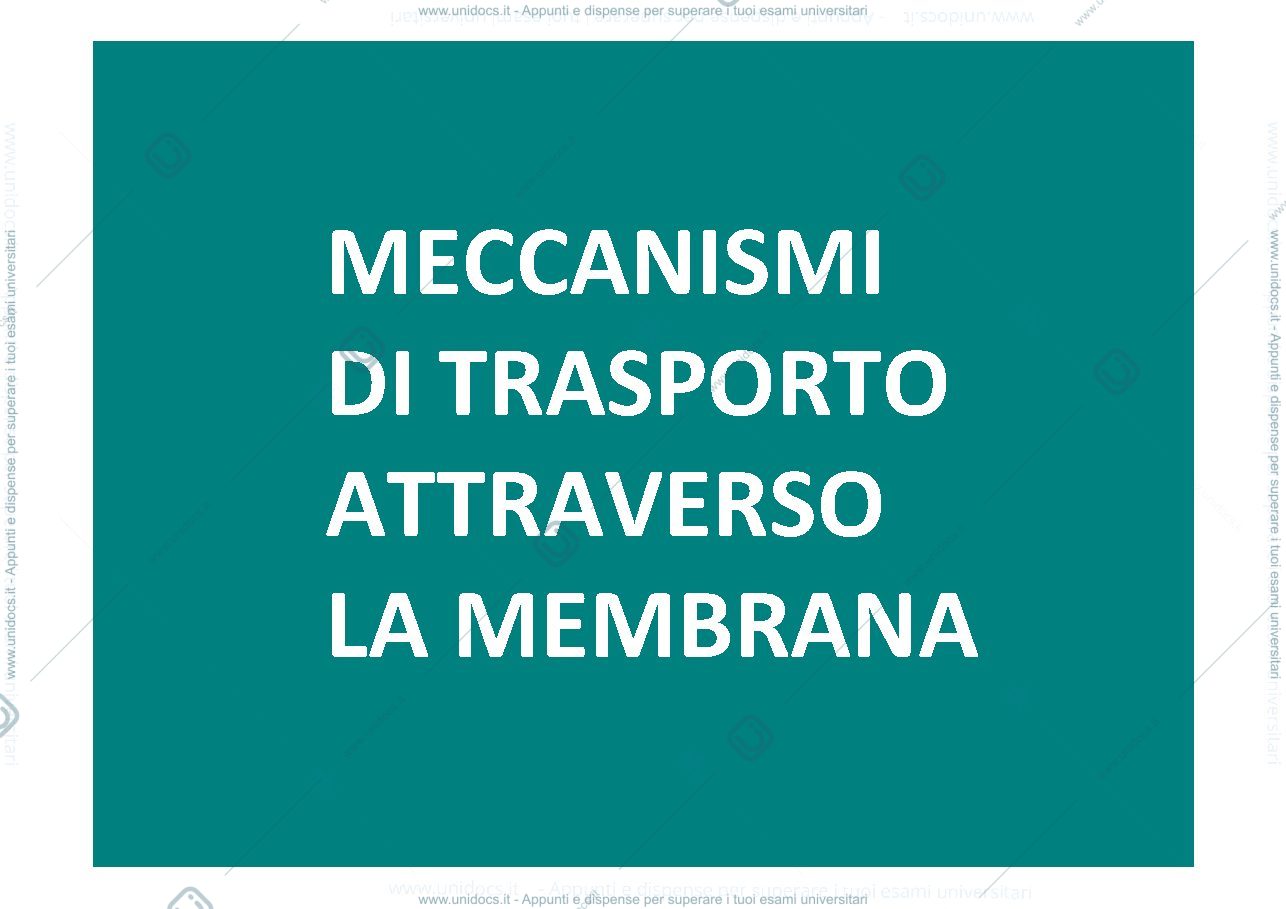 Anteprima pagina 1 — meccanismi di trasporto membrana