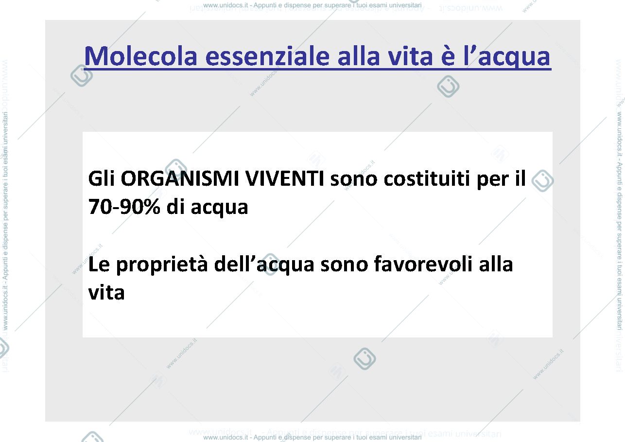 Anteprima pagina 1 — carboidrati