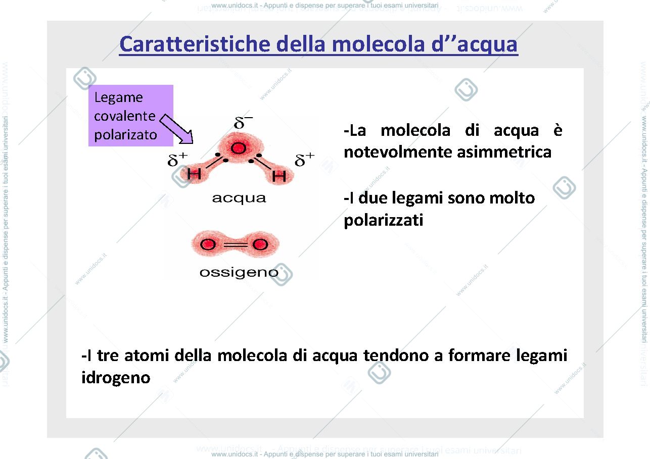 Anteprima pagina 2 — carboidrati