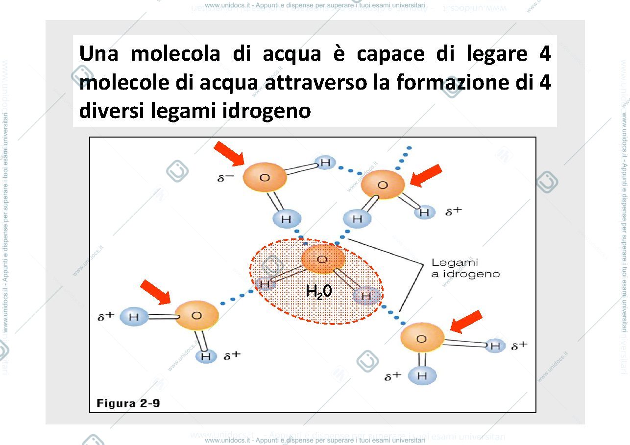 Anteprima pagina 3 — carboidrati