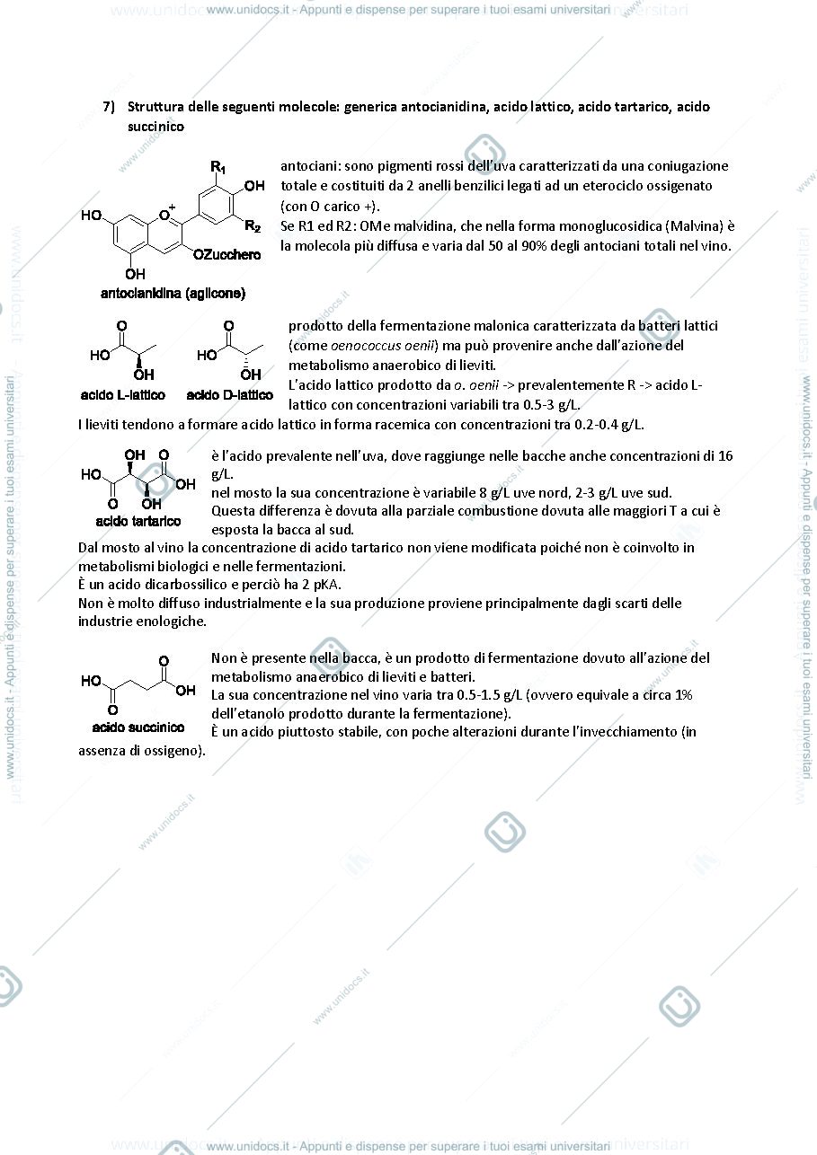 Anteprima pagina 3 — Chimica enologica