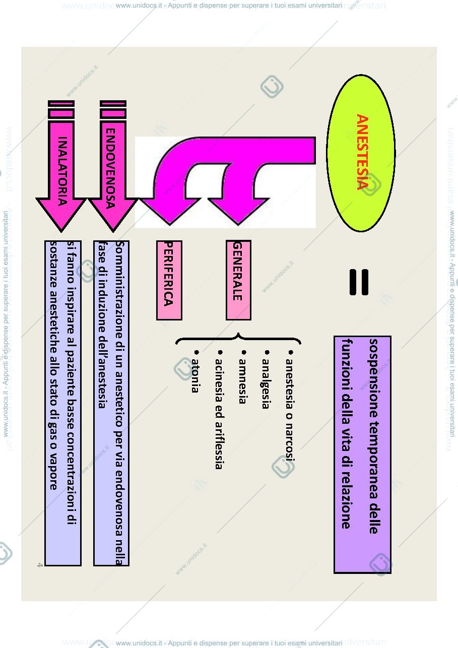 Anteprima pagina 4 — Slides ChF2