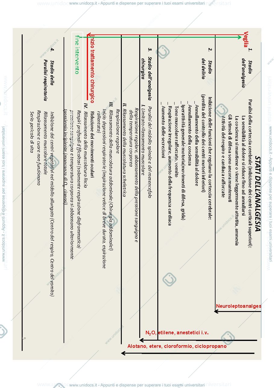 Anteprima pagina 5 — Slides ChF2