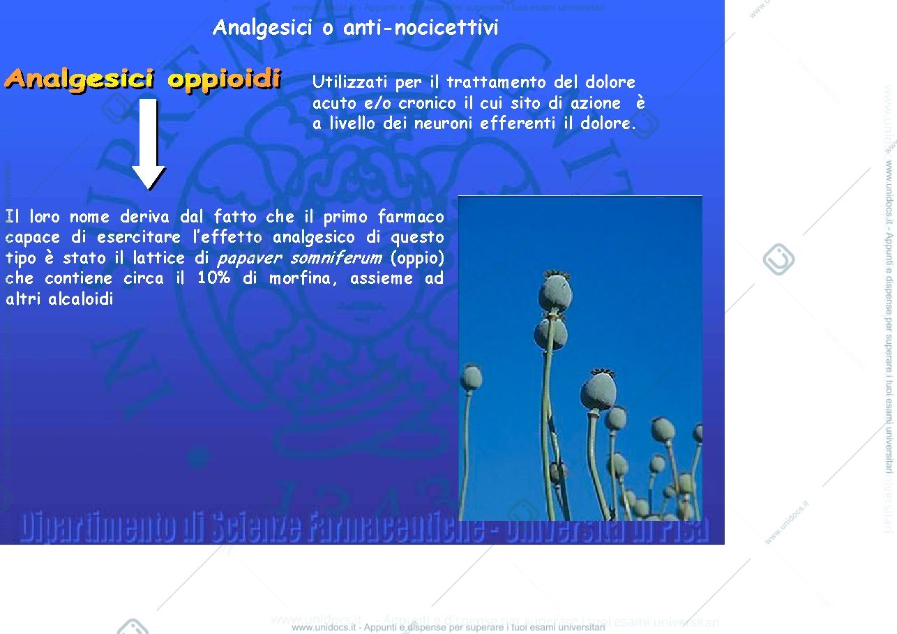 Anteprima pagina 2 — Slides Prof. Anizi ChF 2
