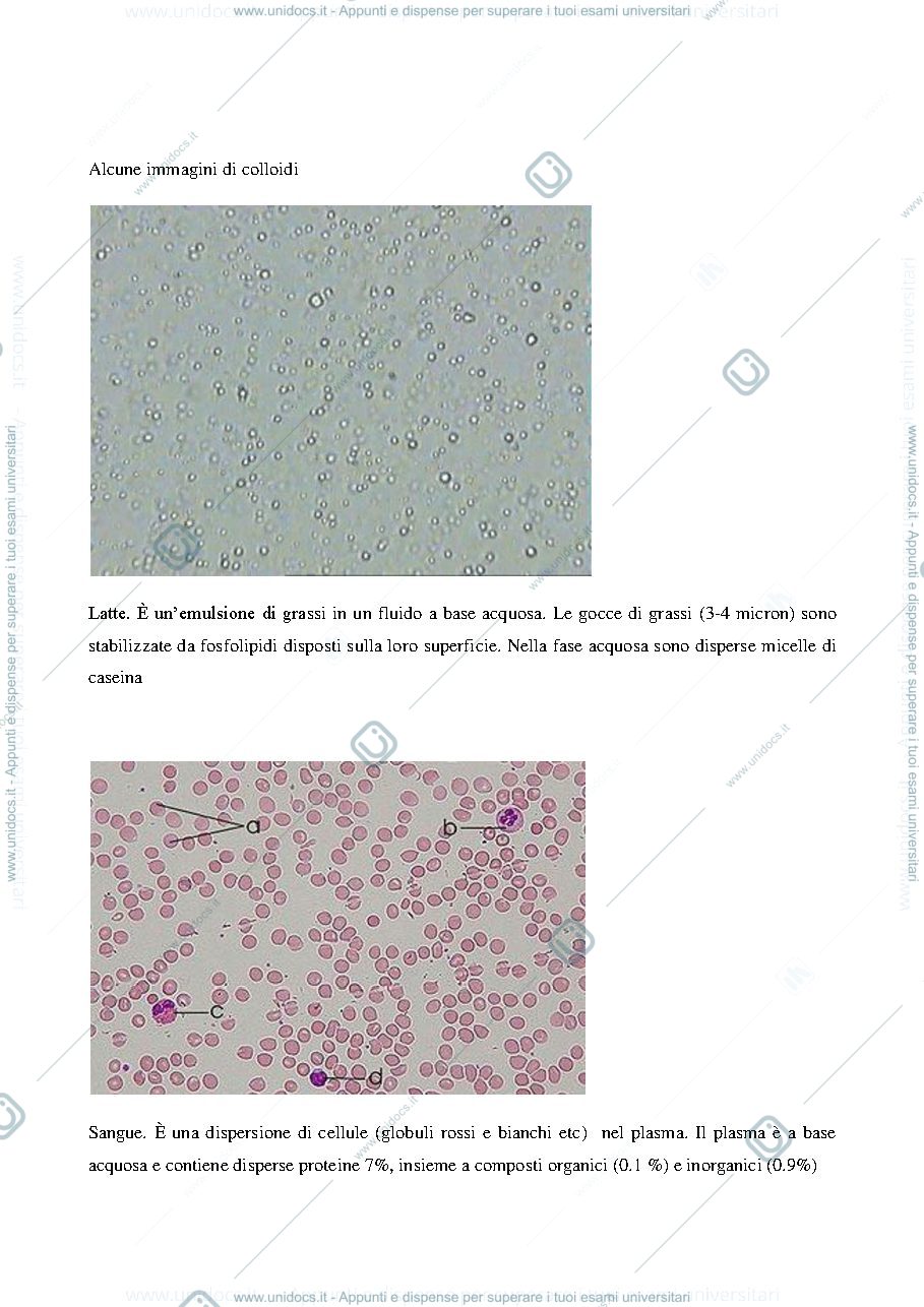 Anteprima pagina 2 — Introduzione