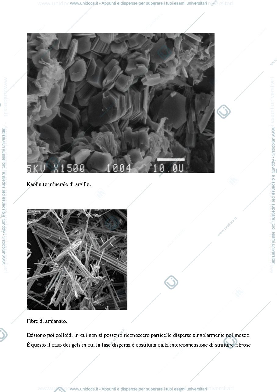 Anteprima pagina 4 — Introduzione