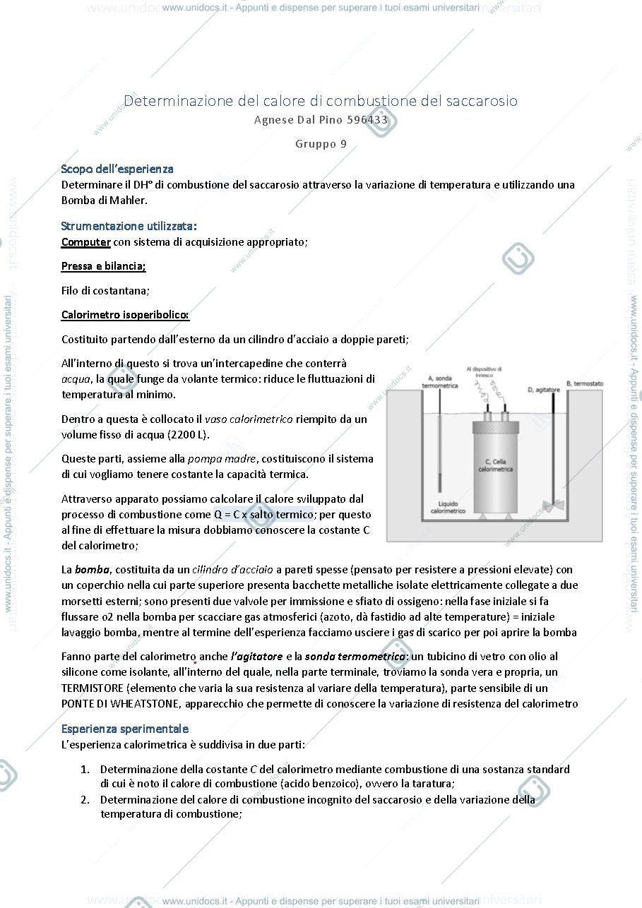 Anteprima pagina 1 — Relazione sull'esperienza del Calore di Combustione