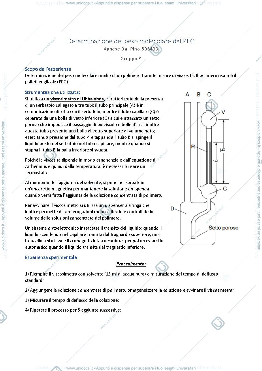 Anteprima pagina 1 — Relazione sull'esperienza del glicole polietilenico (PEG)