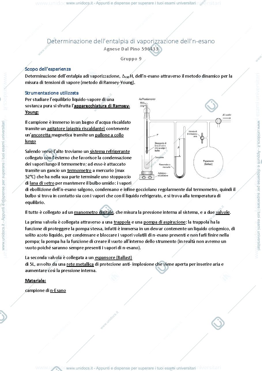 Anteprima pagina 1 — Relazione sull'esperienza dell'entalpia di vaporizzazione (DHvap)