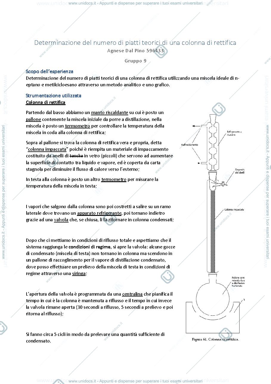 Anteprima pagina 1 — Relazione sull'esperienza dei Piatti Teorici