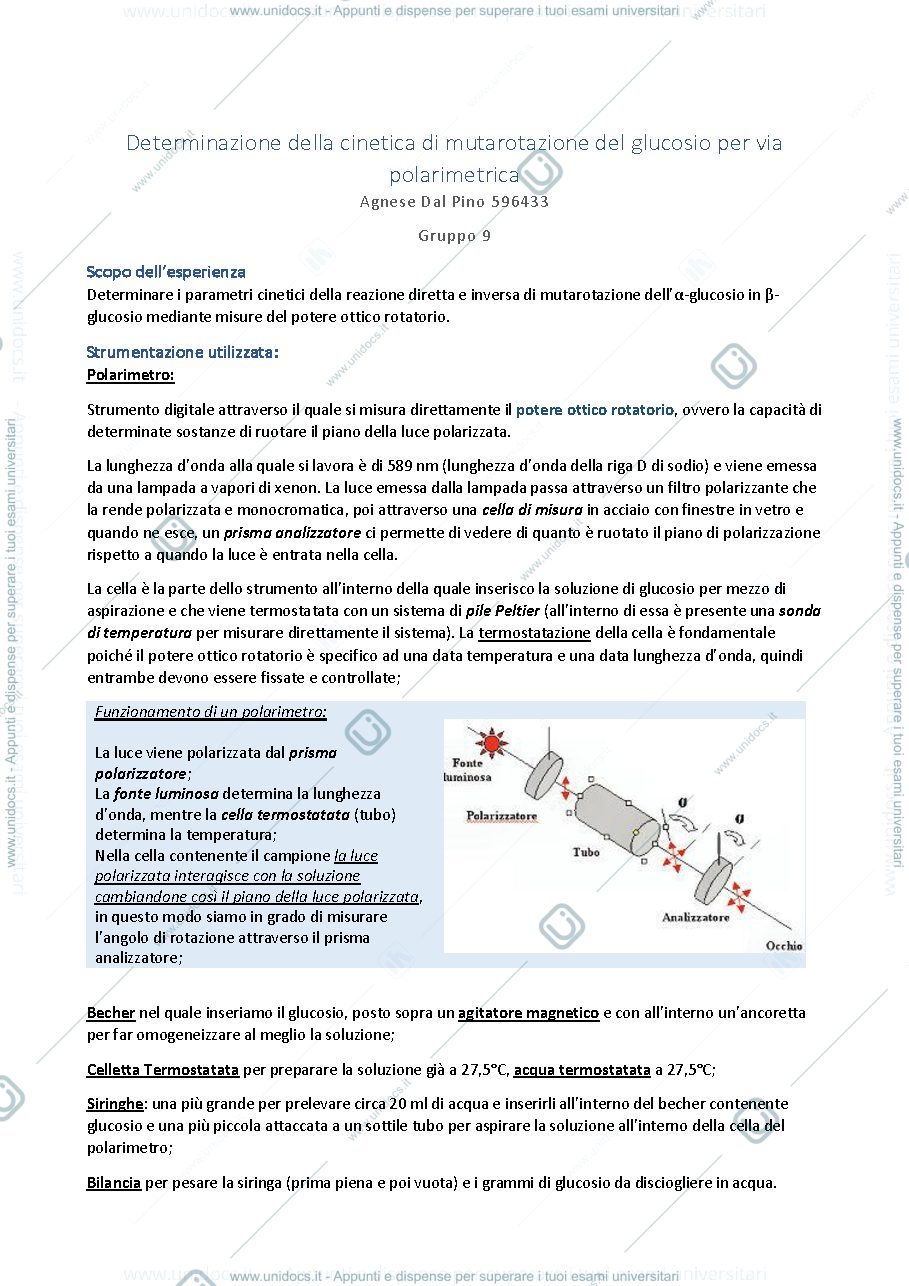 Anteprima pagina 1 — Relazione sull'esperienza di Cinetica
