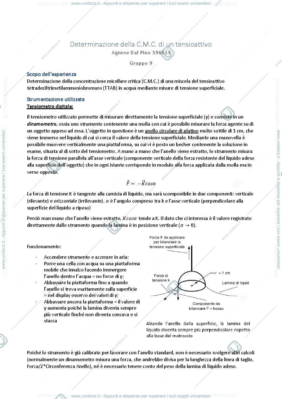 Anteprima pagina 1 — Relazione sulla CMC (Concentrazione Micellare Critica)