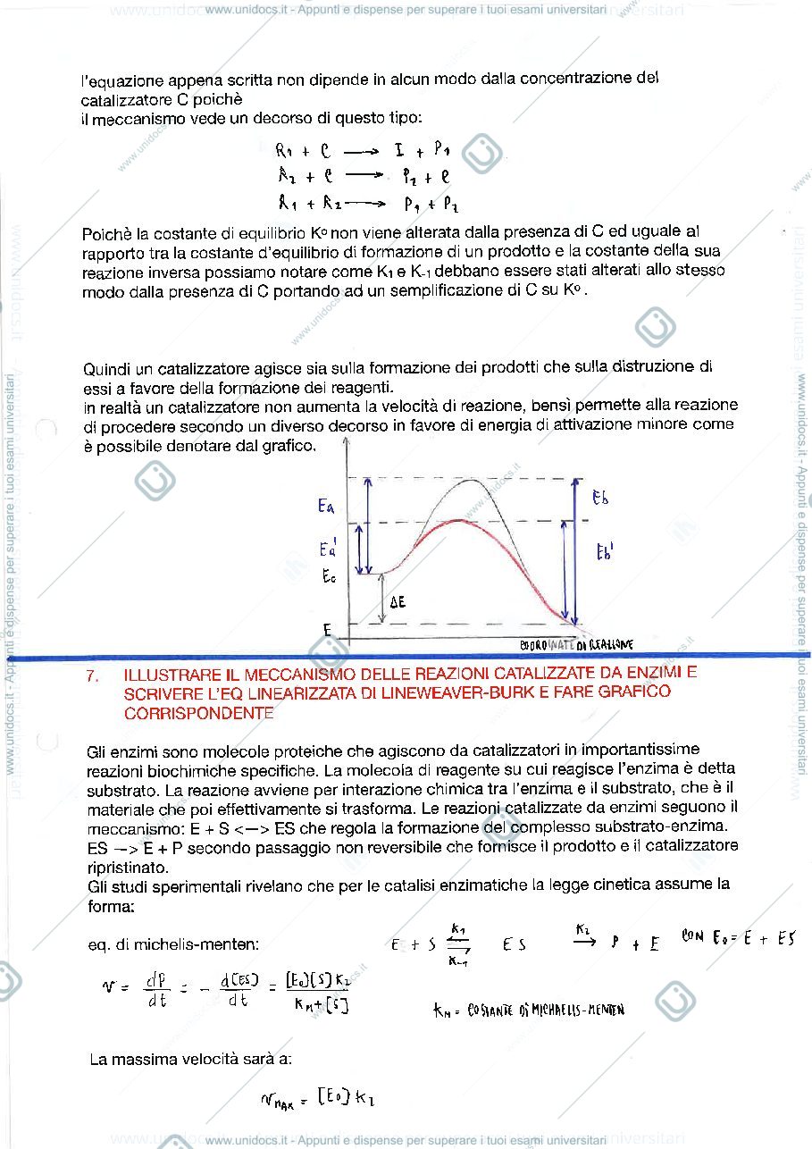 Anteprima pagina 3 — chimica fisica 3