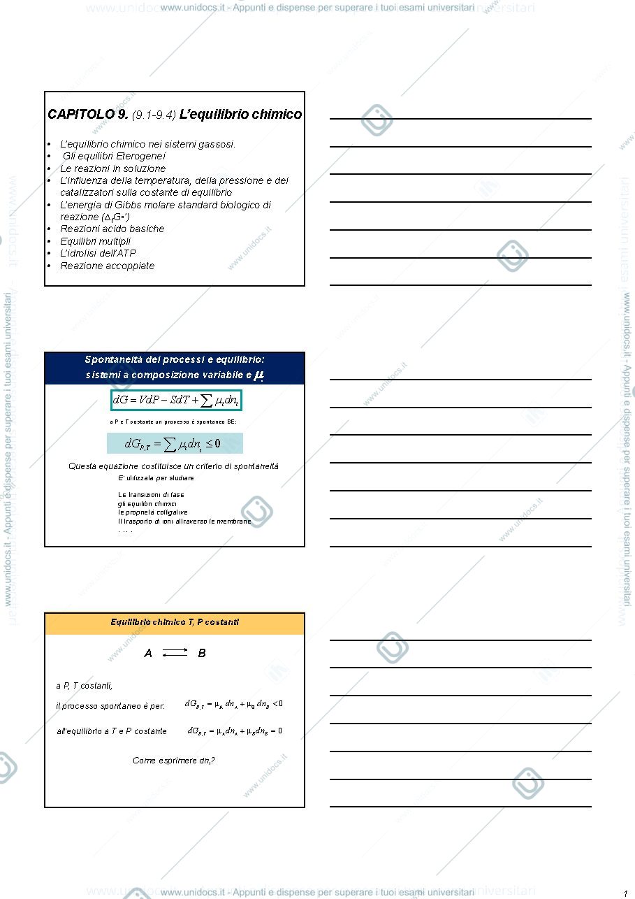 Anteprima pagina 1 — Equilibrio Chimico