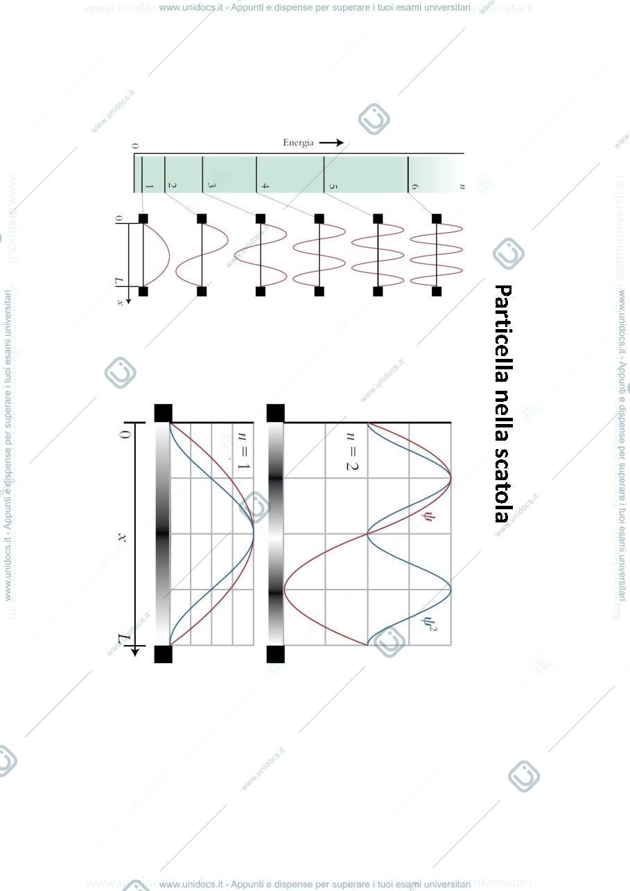 Anteprima pagina 3 — lezione 8