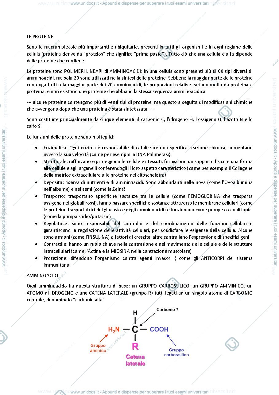 Anteprima pagina 1 — biologia generale e cellulare - Proteine