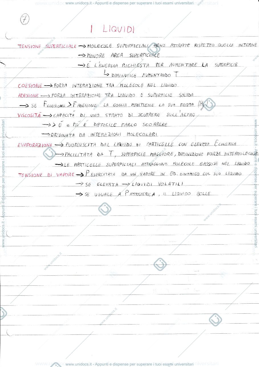 Anteprima pagina 1 — Schema a cascata sui Liquidi