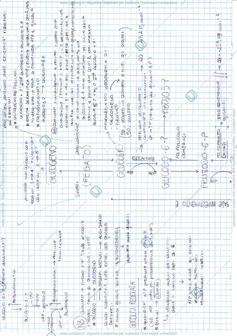 Anteprima pagina 1 — Chimica organica 
