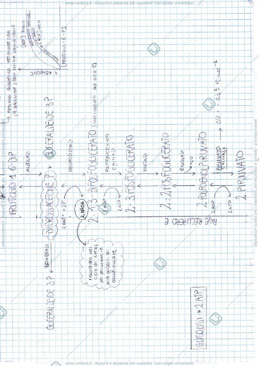 Anteprima pagina 2 — Chimica organica 