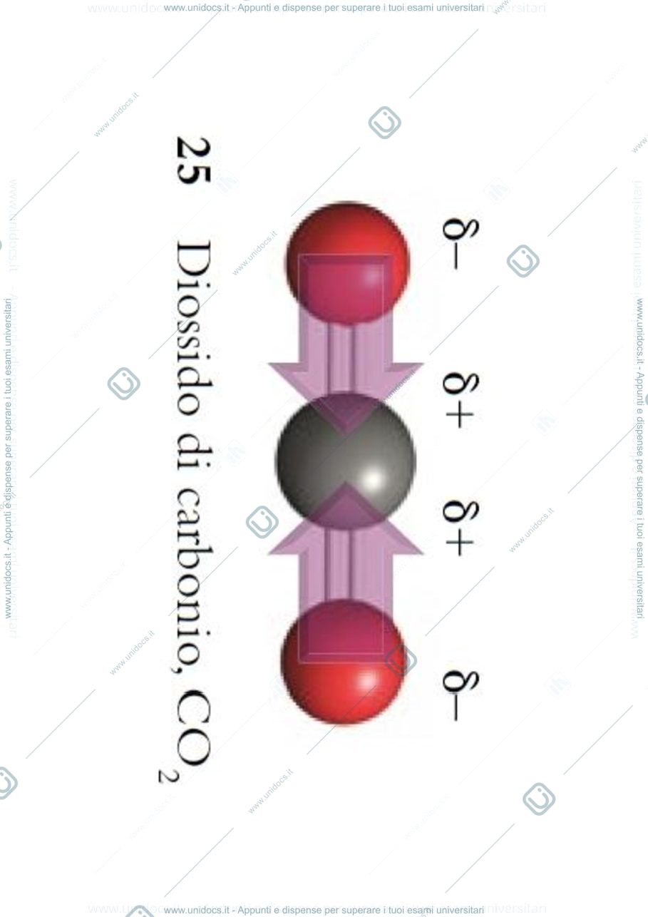 Anteprima pagina 2 — lezione 13