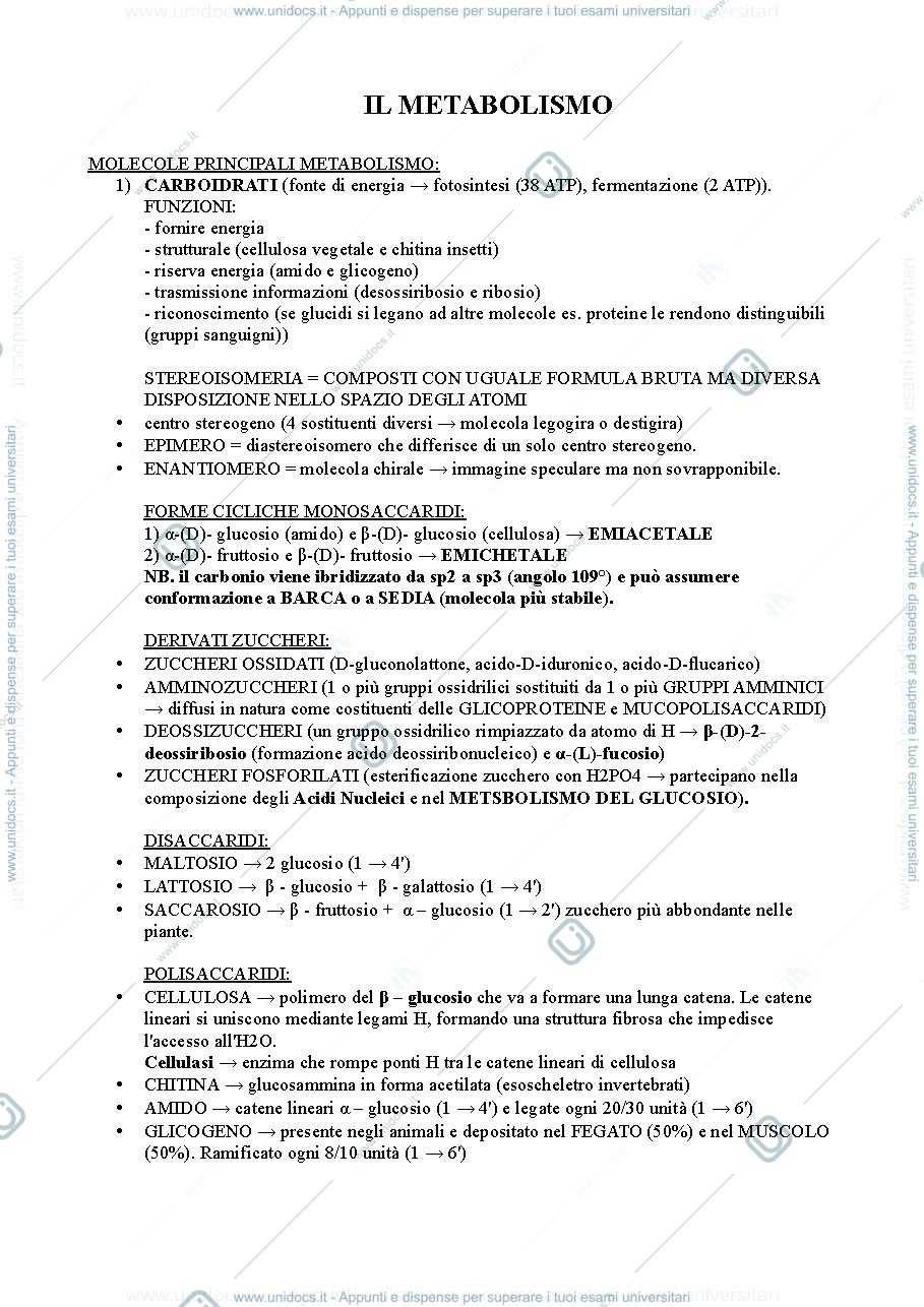 Anteprima pagina 1 — BIOCHIMICA PARTE 1
