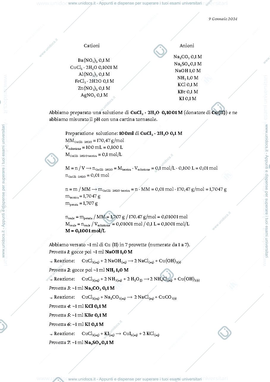 Anteprima pagina 1 — Relazione di laboratorio di Chimica Generale ed Inorganica con Elementi di Analitica