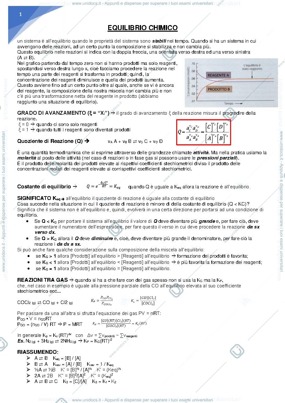 Anteprima pagina 1 — equilibrio chimico