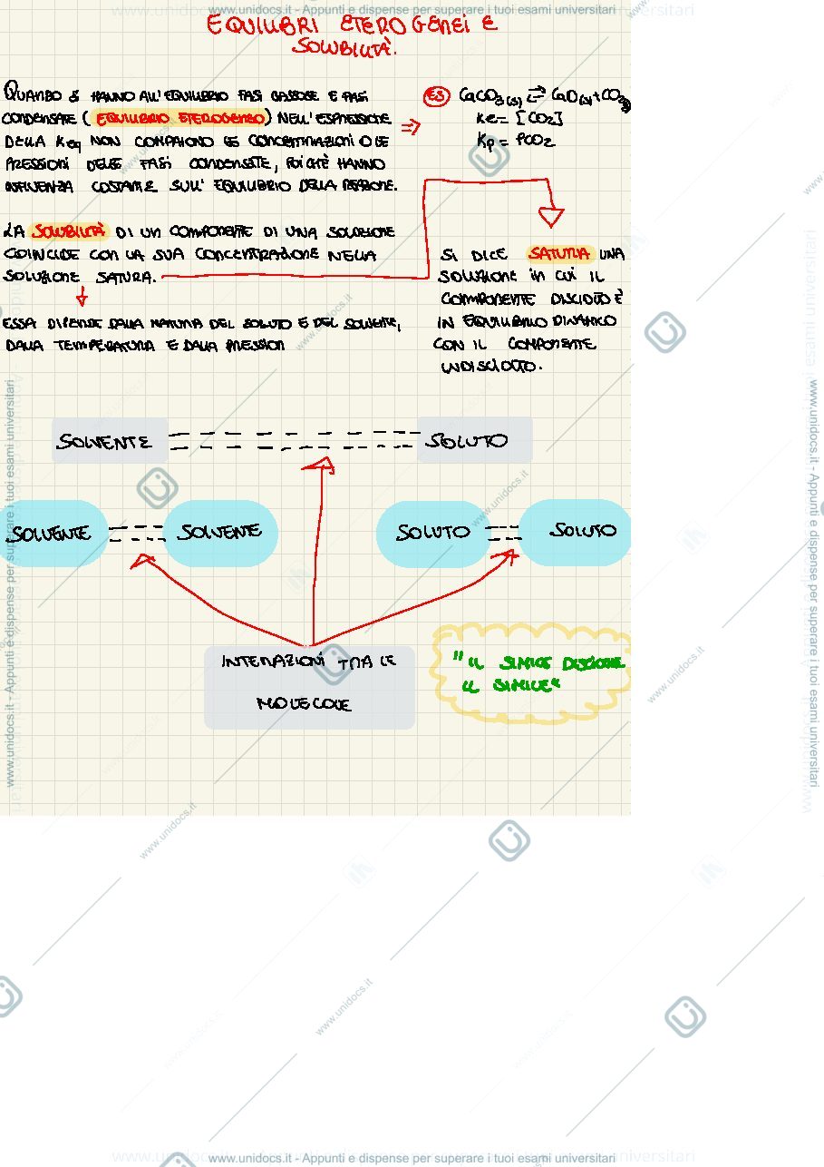 Anteprima pagina 1 — Solubilità ed equilibri di ioni complessi
