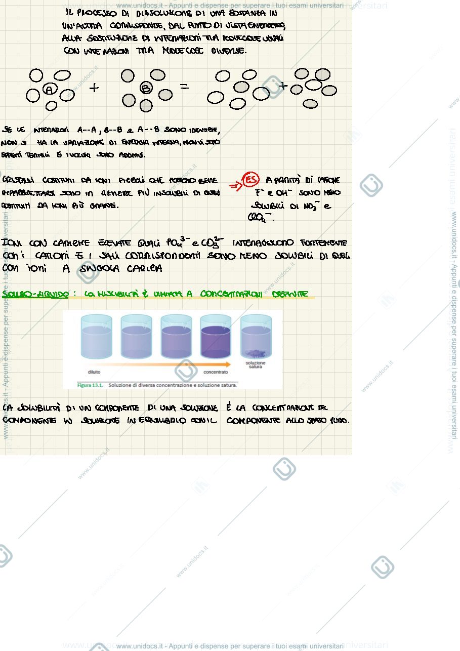 Anteprima pagina 2 — Solubilità ed equilibri di ioni complessi