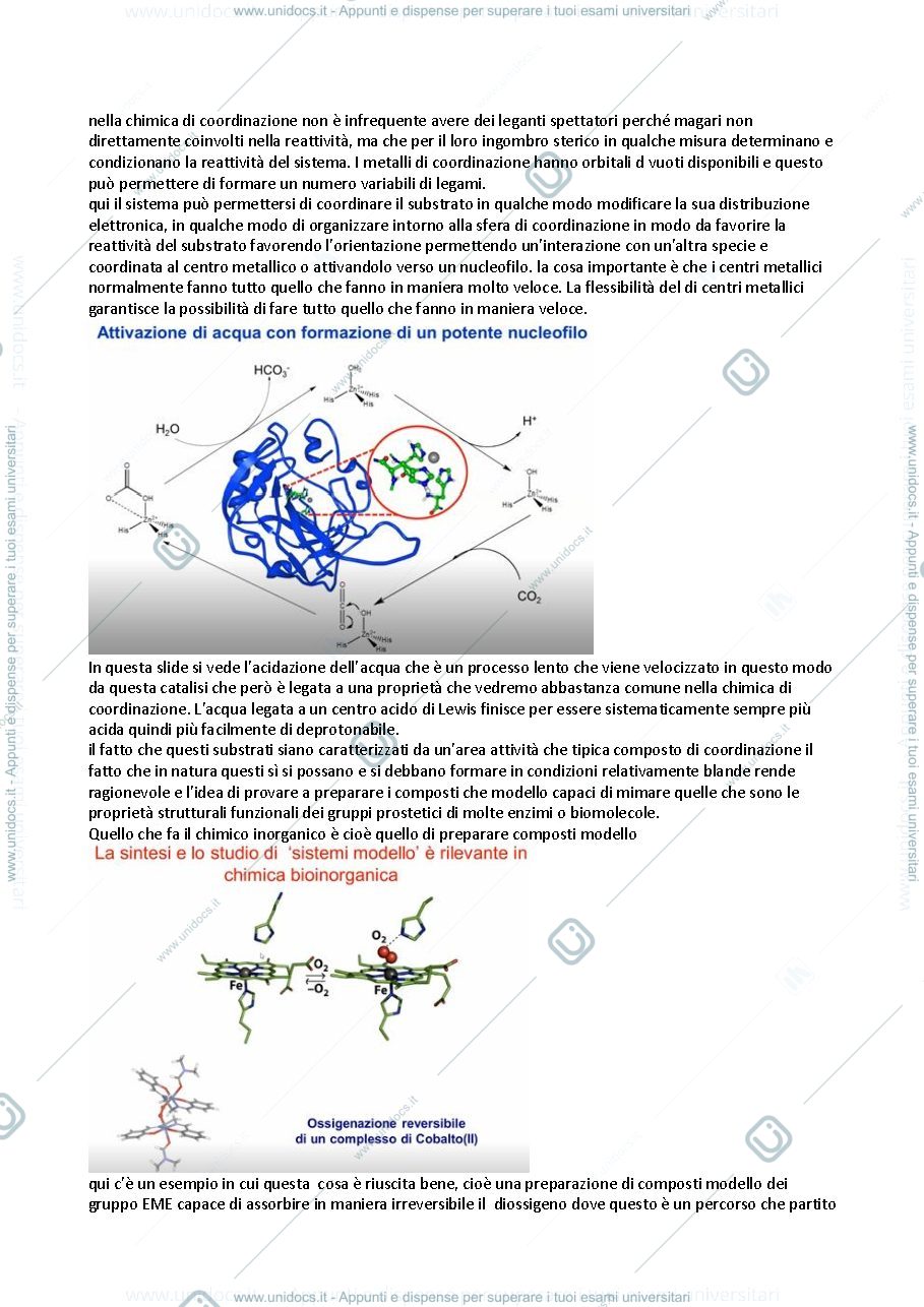 Anteprima pagina 4 — Sbobbine lezioni anno 2020/2021