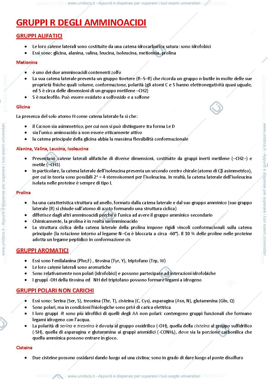 Anteprima pagina 1 — Gruppi R degli amminoacidi