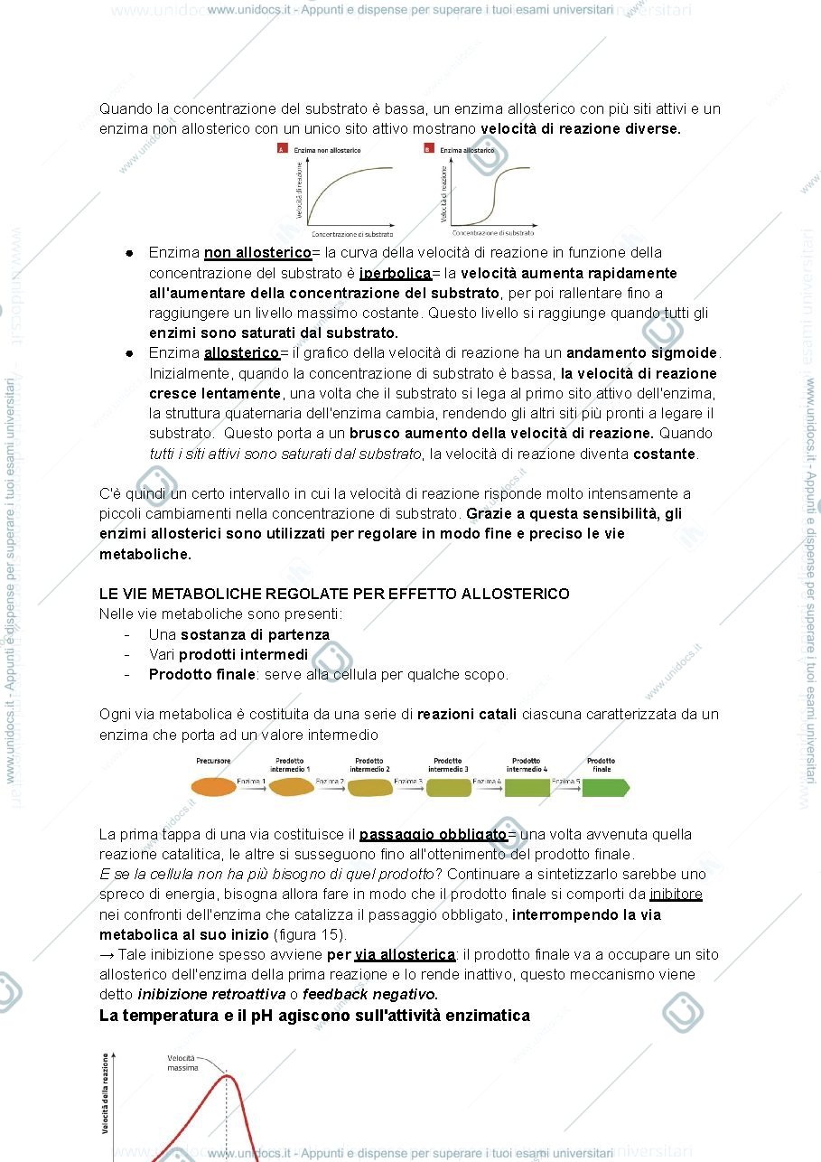Anteprima pagina 1 — riassunti chimica