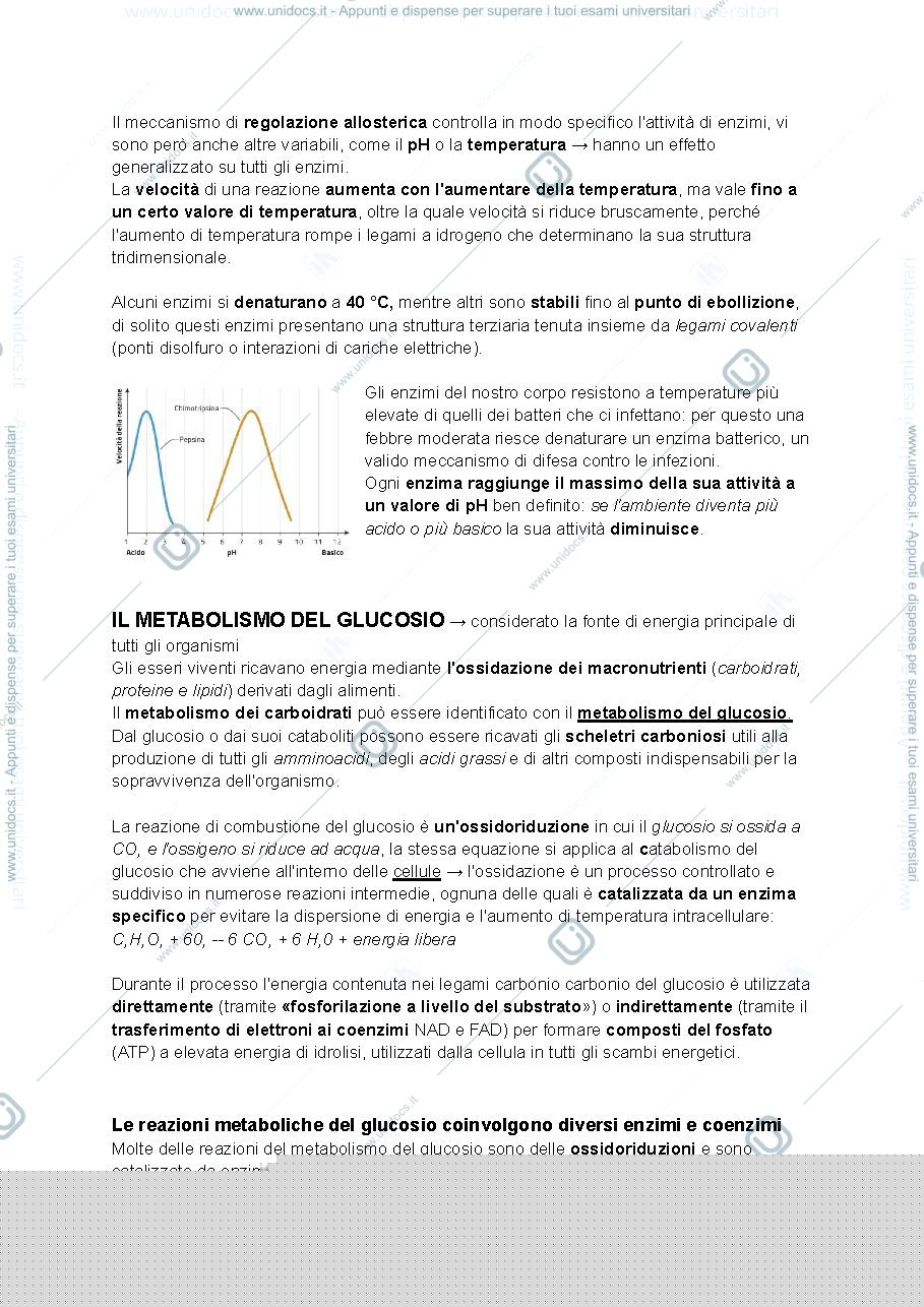Anteprima pagina 2 — riassunti chimica