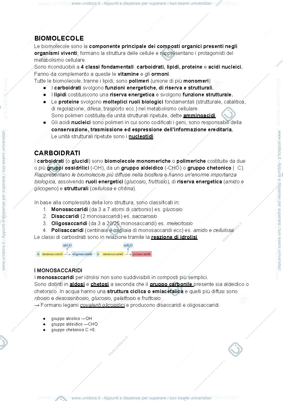 Anteprima pagina 1 — chimica
