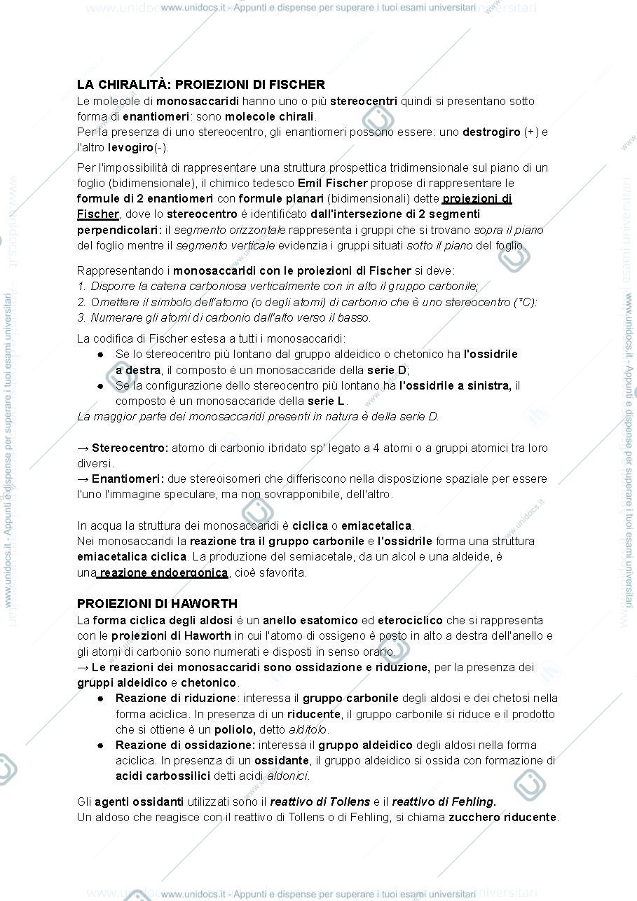 Anteprima pagina 2 — chimica