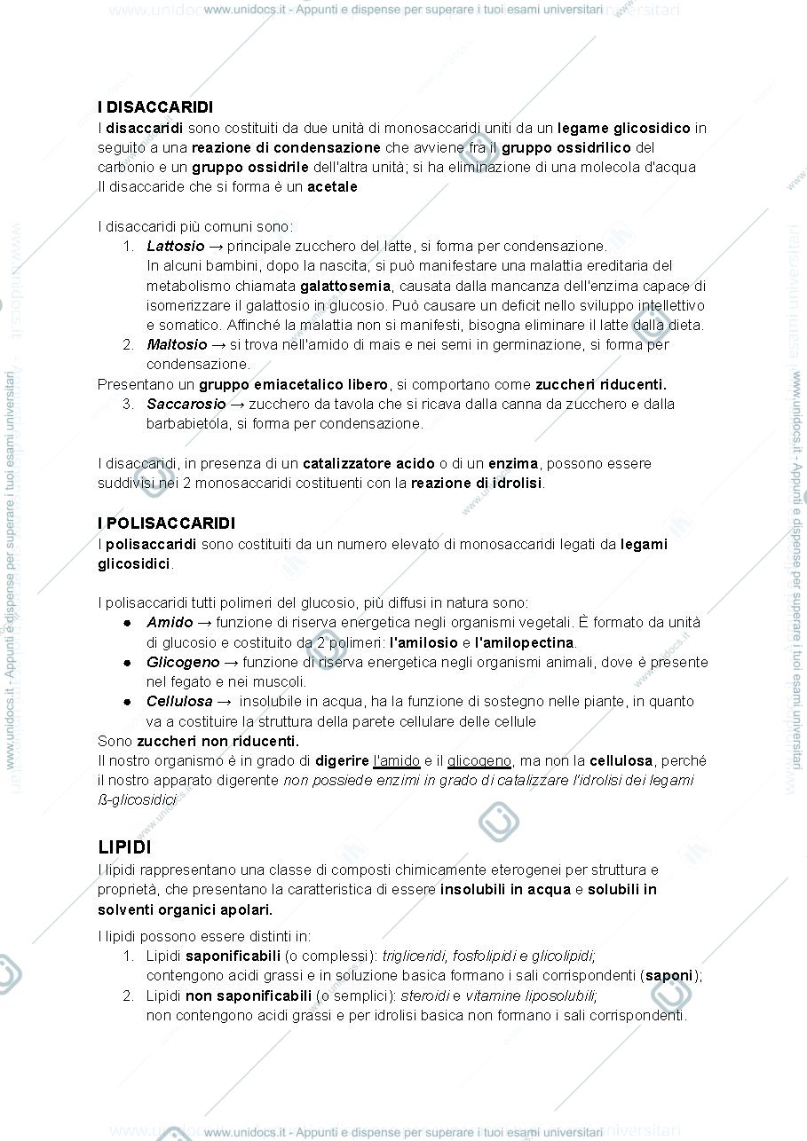 Anteprima pagina 3 — chimica