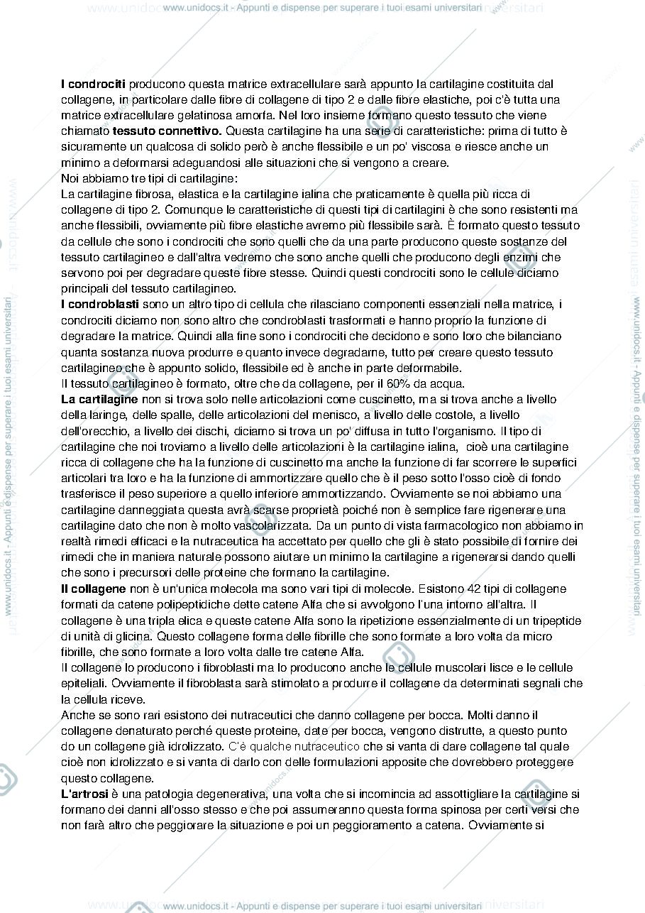 Anteprima pagina 1 — Lezione 24