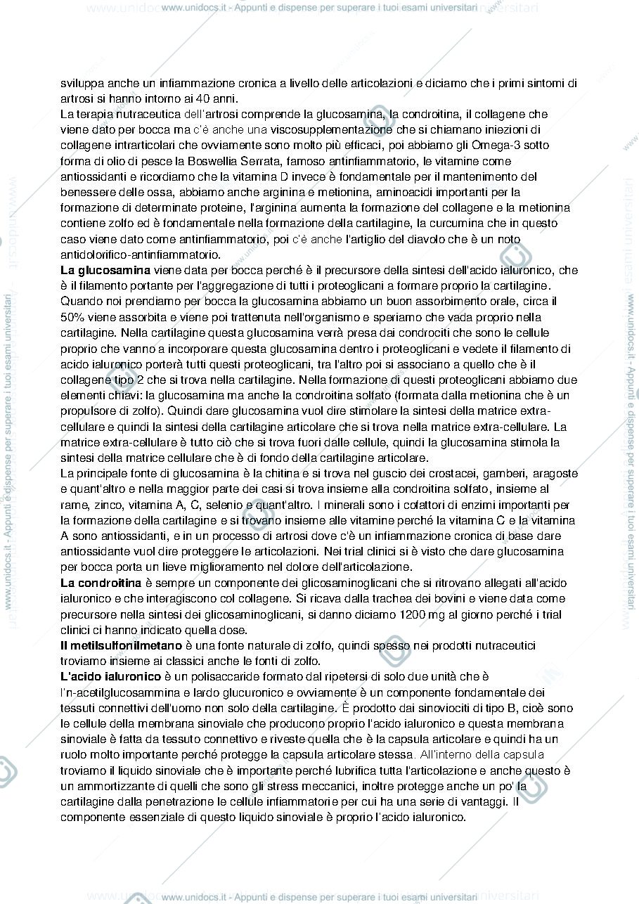 Anteprima pagina 2 — Lezione 24