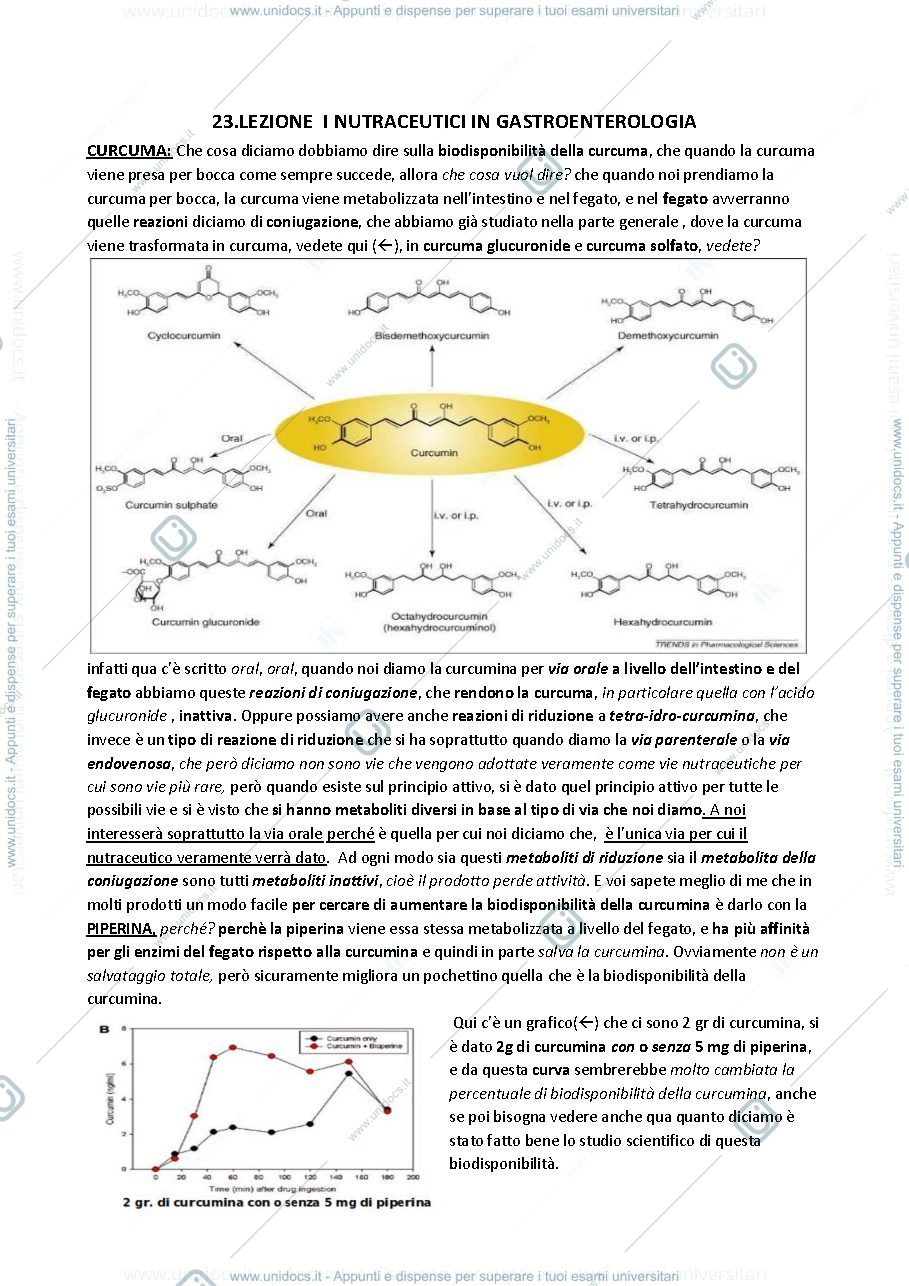 Anteprima pagina 1 — Lezione 23