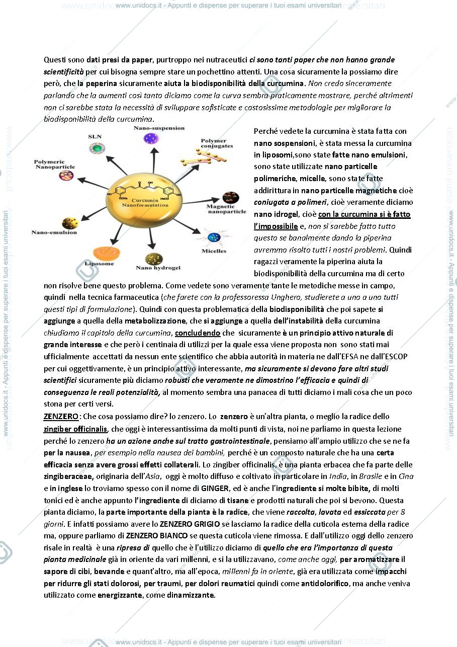 Anteprima pagina 2 — Lezione 23