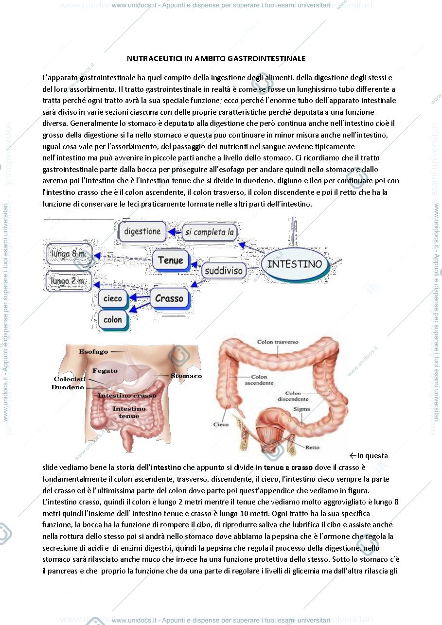 Anteprima pagina 1 — Lezione 22 