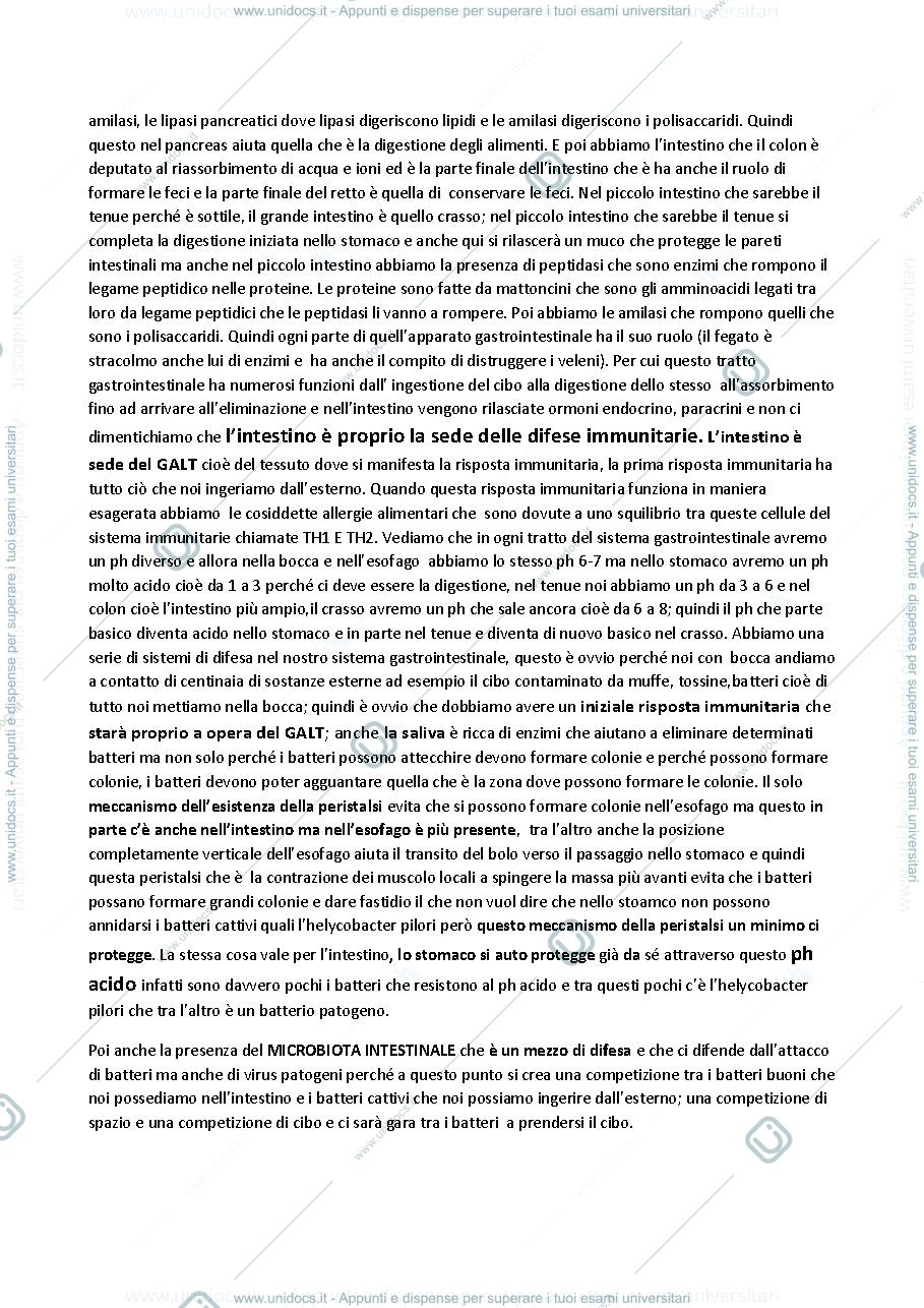 Anteprima pagina 2 — Lezione 22 