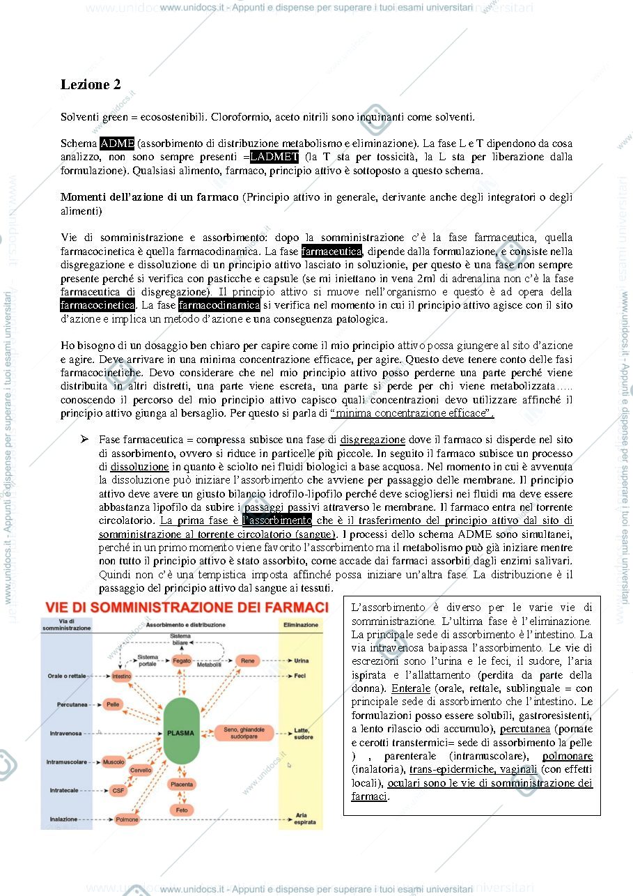 Anteprima pagina 1 — Lezione 2