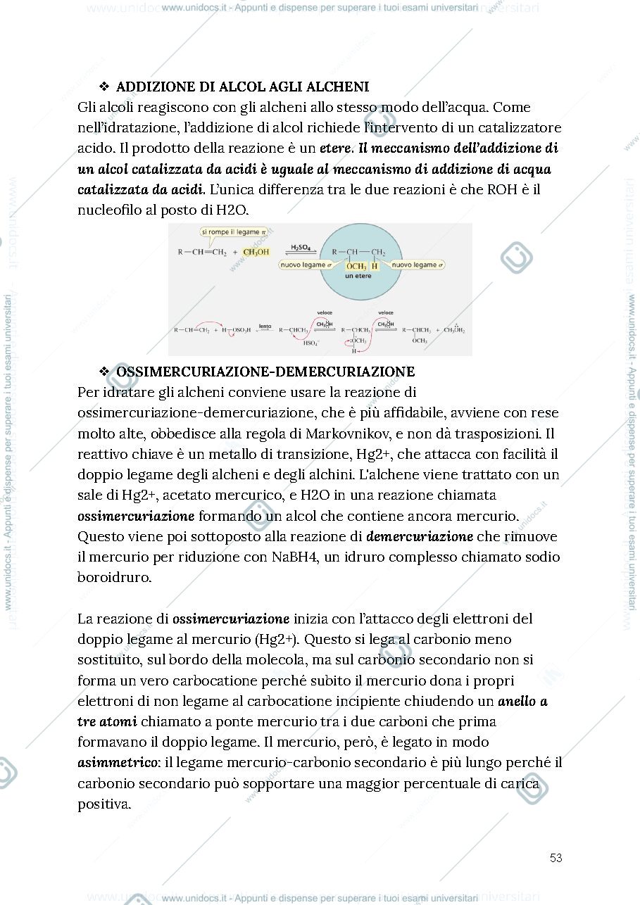 Anteprima pagina 2 — Organica 1