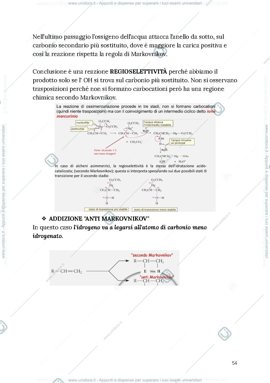 Anteprima pagina 3 — Organica 1