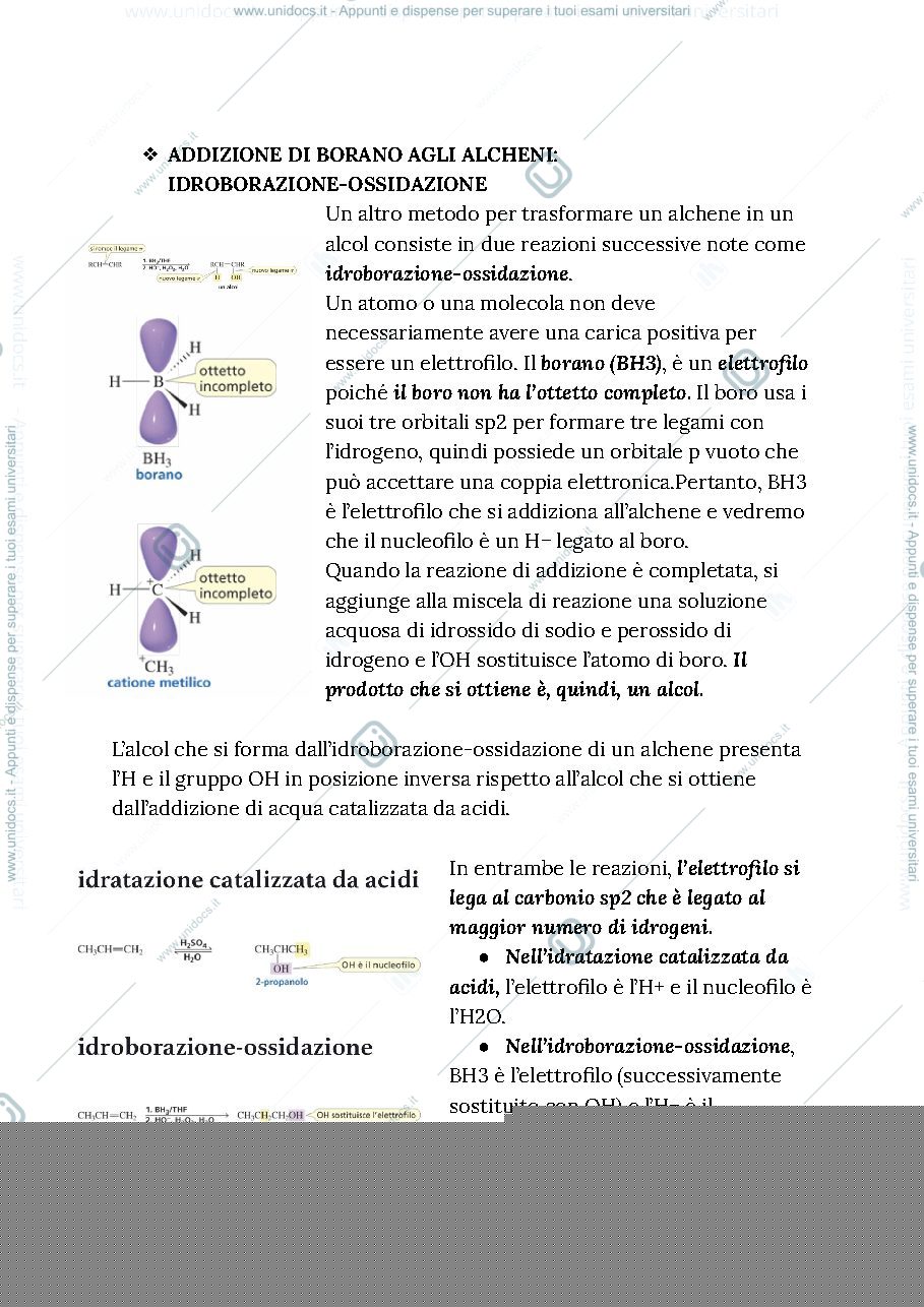 Anteprima pagina 4 — Organica 1