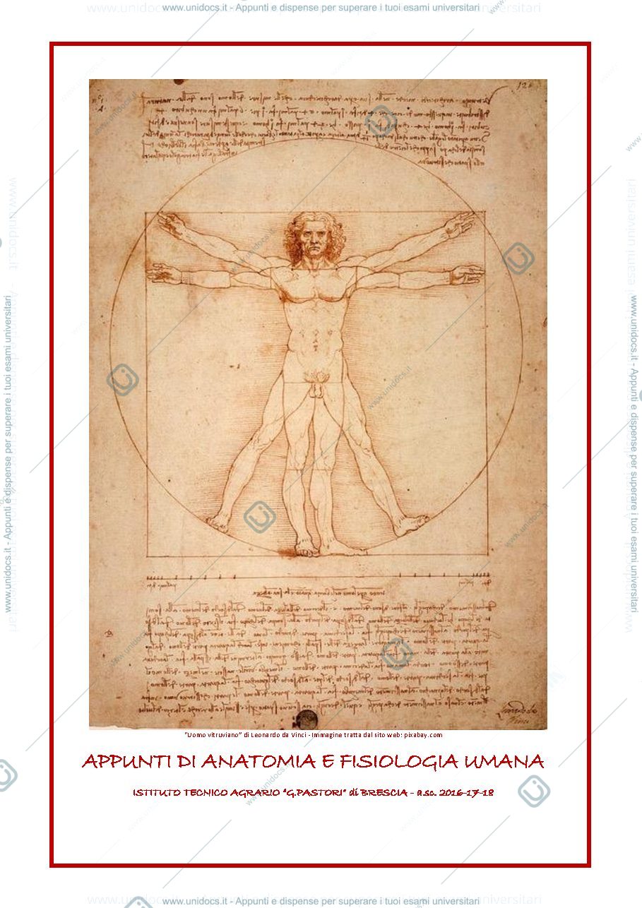 Anteprima pagina 1 — ANatomia e fisiologia umana