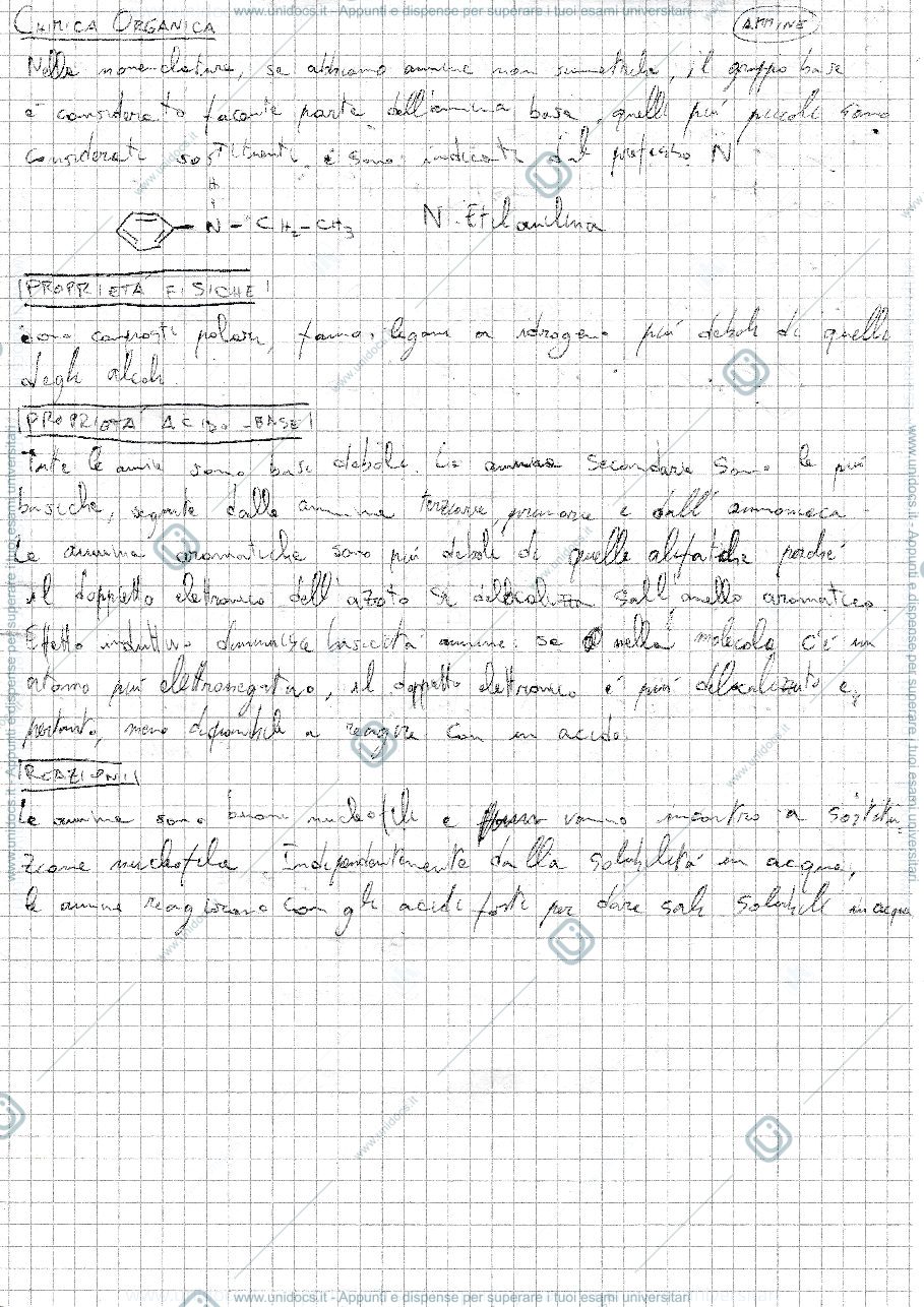 Anteprima pagina 1 — Ammine